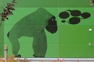 Green Steni facade with a gorilla illustration in black