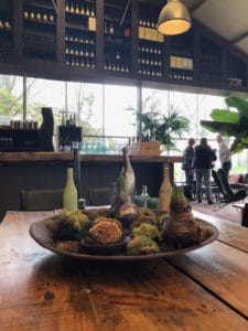 Biutenplaatsplantage.Vogelzang near Amsterdam