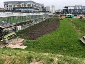 Amsterdam.Park2020.greenhouse