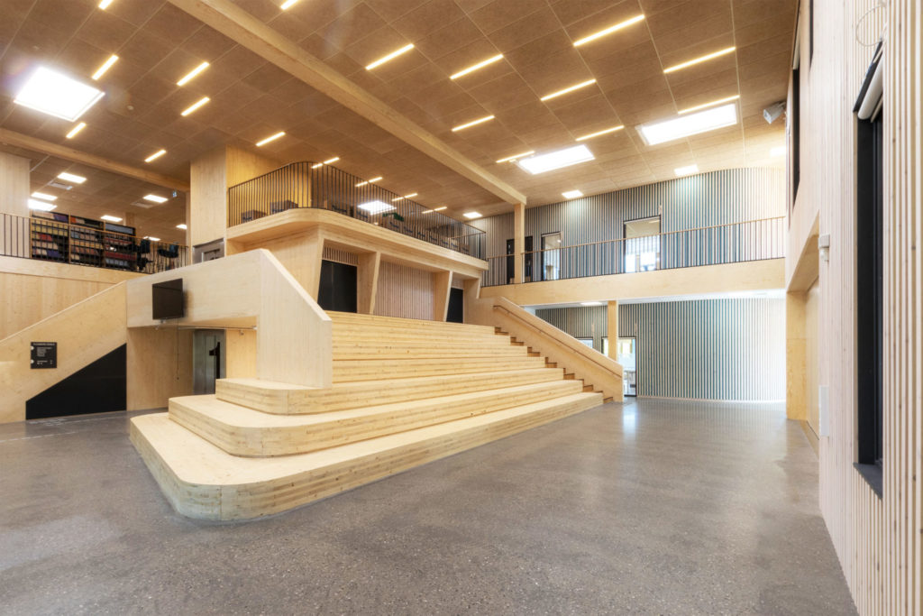 Foto Troldtekt i Flesberg Skole