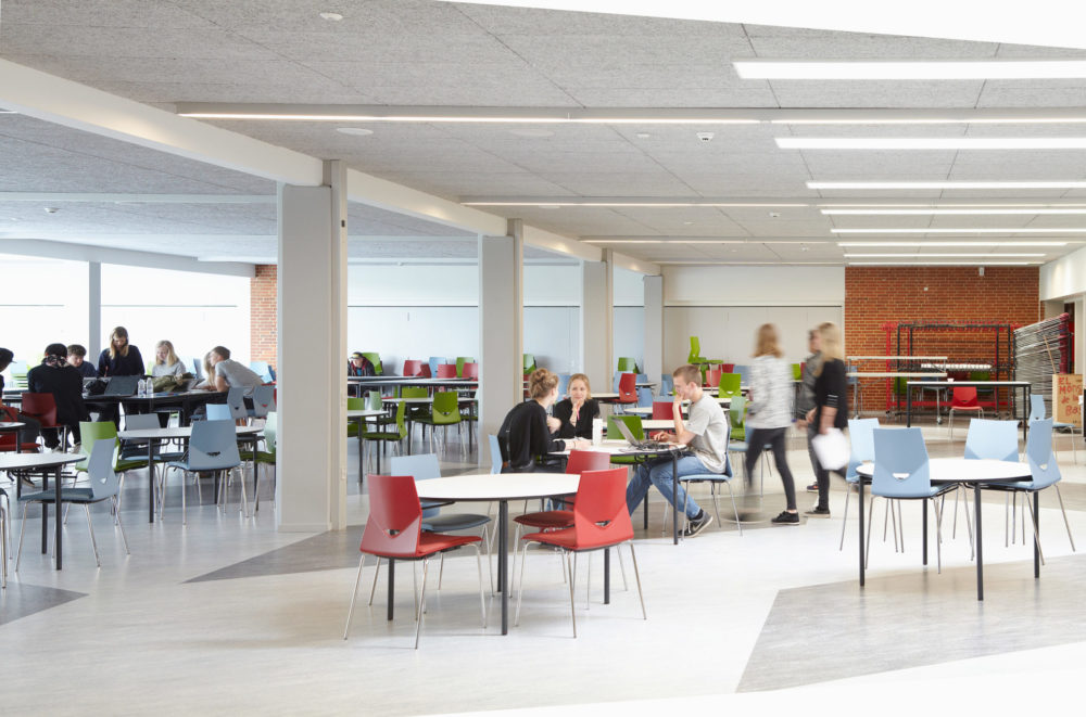 Troldtekt ventilation plater til Roskilde Katedralskole