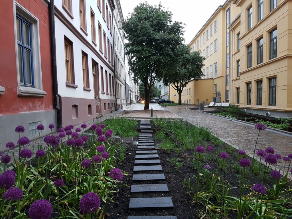 Deichmansgate i Oslo med regnbed