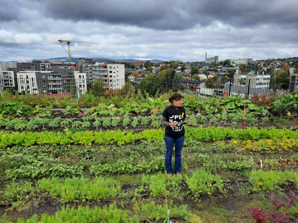 Økern Portal har Nord-Europas største takpark