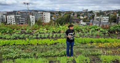 Økern Portal rooftop is Breeam Excellent certified