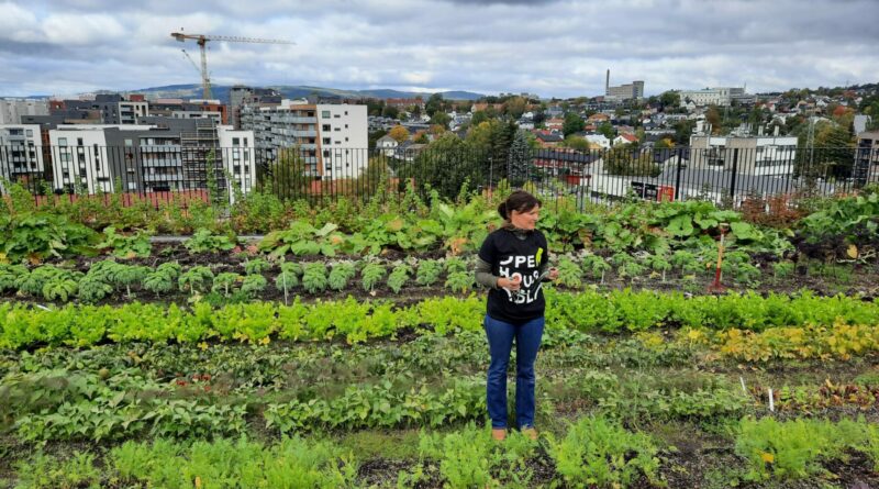 Økern Portal rooftop is Breeam Excellent certified