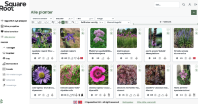 Illustrasjon av SquareRoot Plants - planleggingsverktøy særlig tilpasset landskapsplanleggere