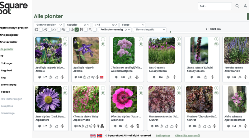 Illustrasjon av SquareRoot Plants - planleggingsverktøy særlig tilpasset landskapsplanleggere