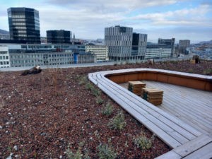 Takhage BIR Nygårdshagen