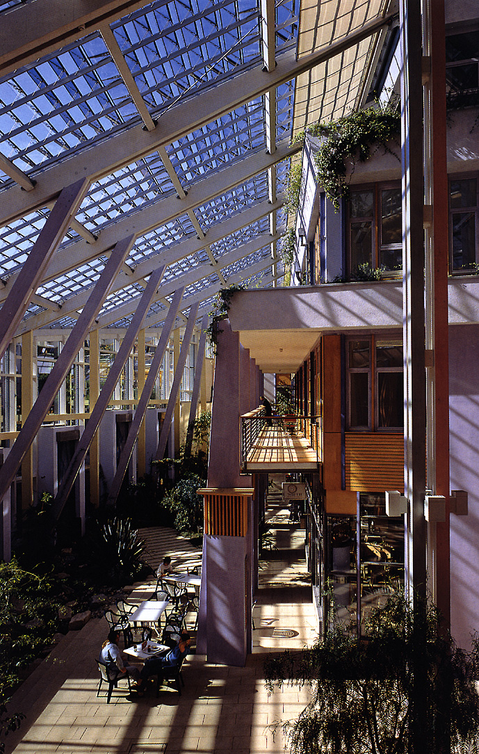 Prisma Nuermburg. Sandy Halliday.