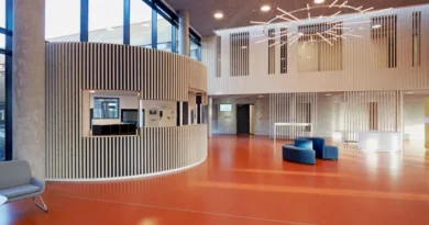 Troldtekt delivery to psychiatric hospital Velje Denmark