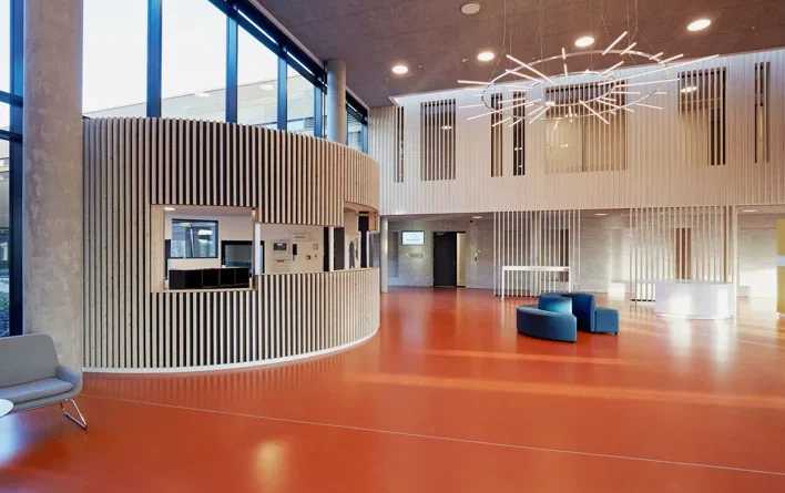 Troldtekt delivery to psychiatric hospital Velje Denmark