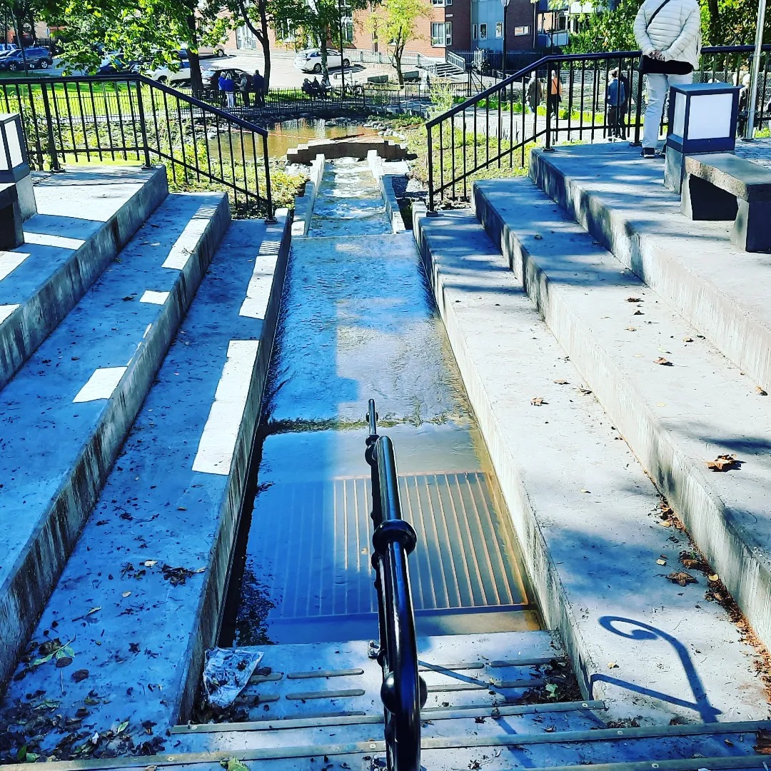 Klosterenga kulturpark i Oslo. Fotograf: Vikki Johansen